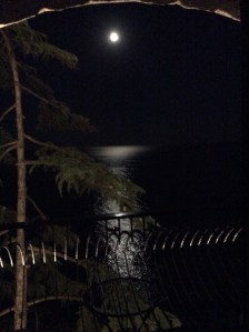 Moonlight across bay